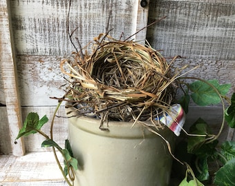 Human Made Bird Nest, Bird Nest, Nature Inspired Art, Bird Home