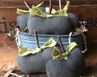 Halloween Pumpkins, Rustic Pumpkin Gourds, Black Pumpkins