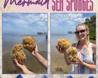 Meerjungfrau Florida Natürlicher Meeresschwamm Luffa, Bio-Bade- & Gesichtsschwamm, Luxus-Spa-Geschenk, Plastikfreies Leben, Mermaid Nautical Party Favors