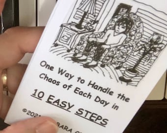 One Way to Handle the Chaos of Each Day, zine