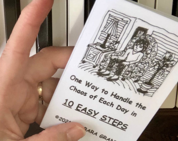 One Way to Handle the Chaos of Each Day, zine