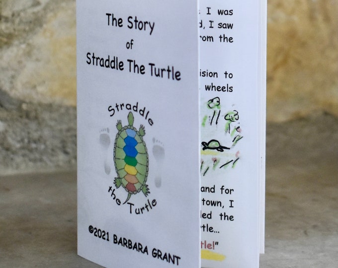 The Story of Straddle the Turtle, zine