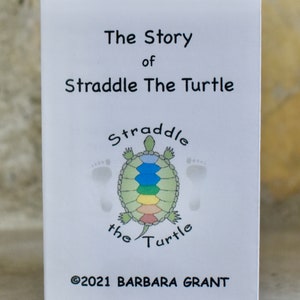 Slow down like a turtle. My personal challenge to learn how to chill. It took almost running over 2 turtles to make me realize my problem!