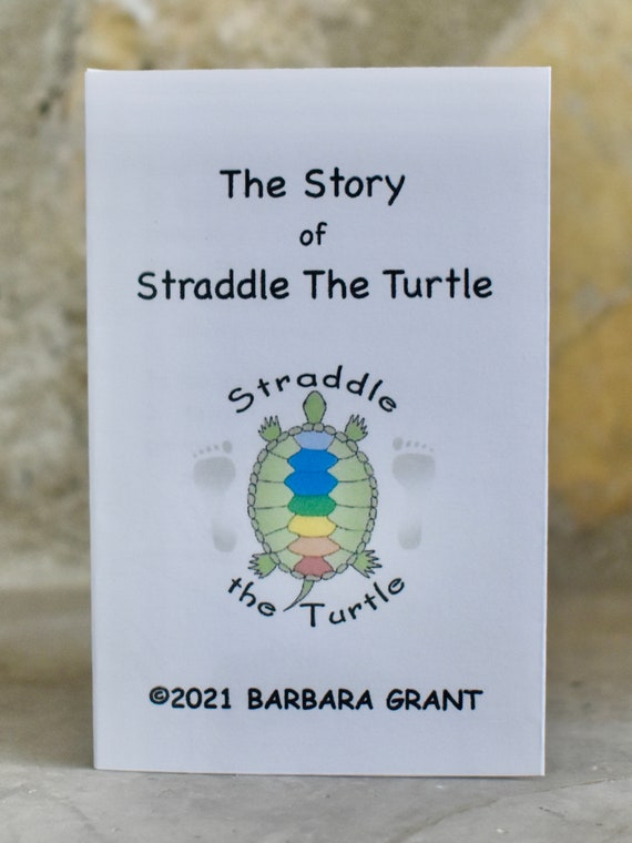 The Story of Straddle the Turtle, zine