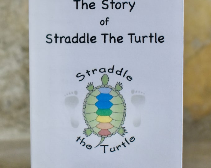 The Story of Straddle the Turtle, zine