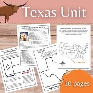 Texas State Mini Unit - Geography, Social Studies, History, Fun Facts, Lone Star, Remember The Alamo - School Project Printable Worksheets