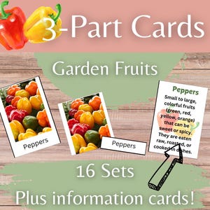 Garden Fruits Montessori 3-Part Early Learning Reading Skills & Vocabulary Cards - Nomenclature Fruiting Plants Homeschool or Classroom