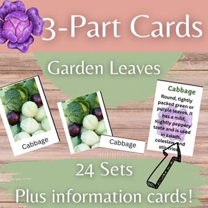 Garden Leaves Montessori 3-Part Early Learning Reading Skills & Vocabulary Cards - Nomenclature Gardening Vegetables Homeschool or Classroom