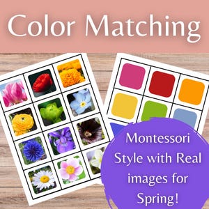Spring Flowers Color Matching Game Montessori Style with Real Images for Classroom and Homeschool Preschool PreK and Kindergarten
