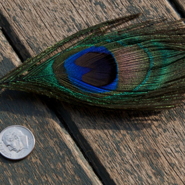 peacock feather pin - peacock brooch - peacock boutonniere peacock jewelry - peacock accessories