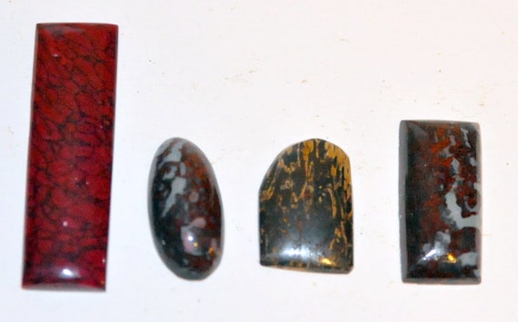 Dinosaur Bones - Cut And Polished