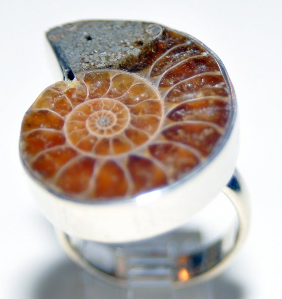 Ammonite Fossil Ring - Sterling