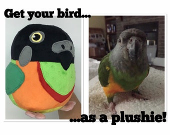 kakapo plushie
