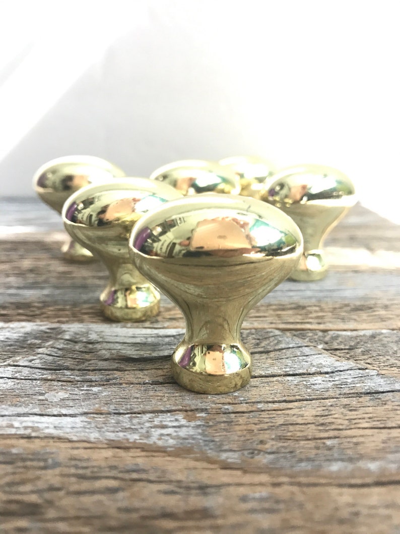 6 Polished Brass Oval Egg Shaped Drawer Door Knobs Etsy