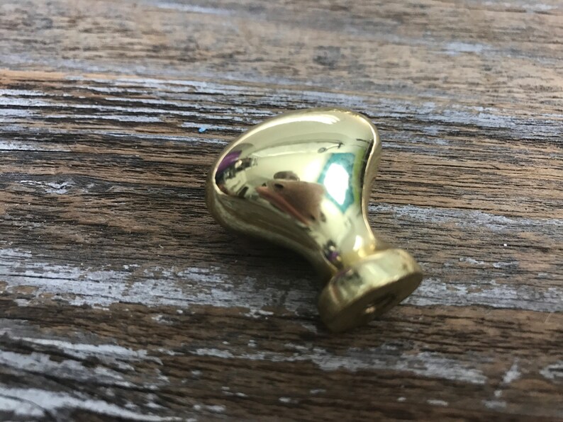 6 Polished Brass Oval Egg Shaped Drawer Door Knobs Etsy