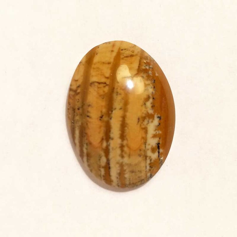 owyhee picture jasper