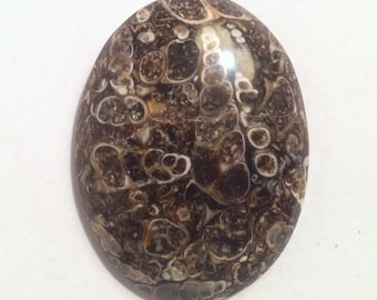 Turratella Agate 40X30X7.1mm oval cabochon