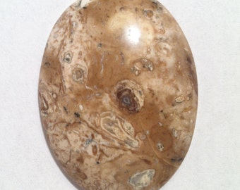 Petrified Palm Root 40X30X6.9mm oval cabochon