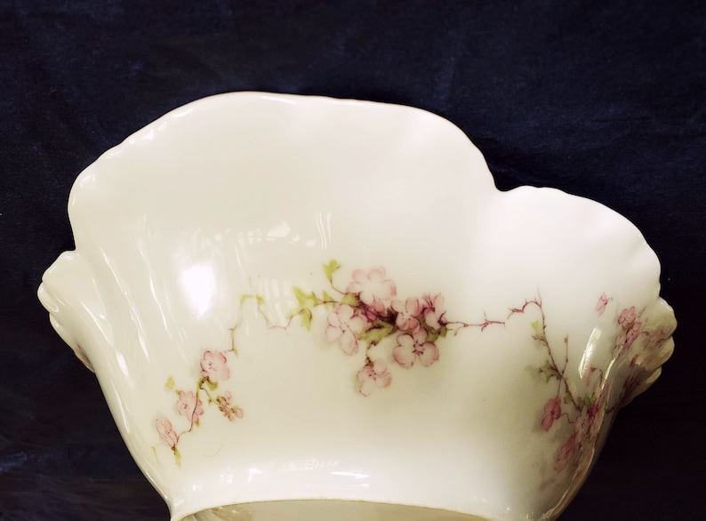 Haviland Limoges Porcelain Bowl