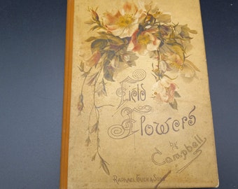 Field Flowers by Campbell, Victorian Gift Book,  Very RARE Antique Book, Aesthetic Prose, Book of Love, Illustrated by C Noakes and others