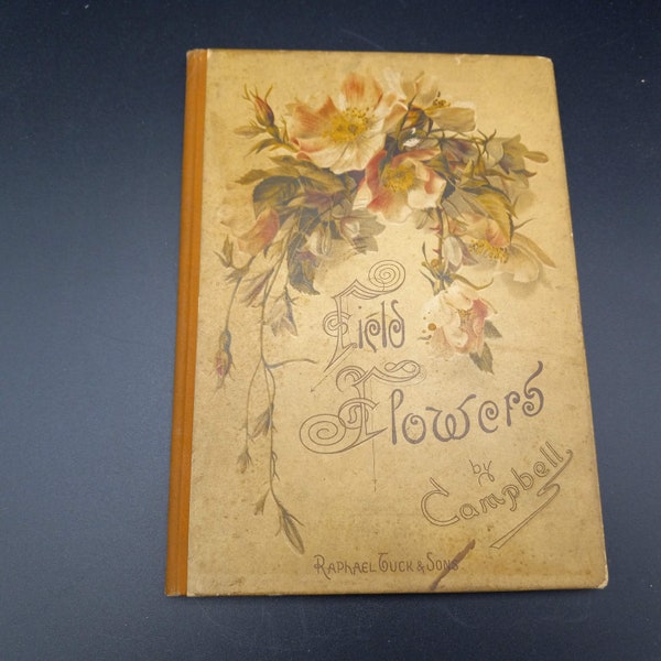 Field Flowers by Campbell, Victorian Gift Book,  Very RARE Antique Book, Aesthetic Prose, Book of Love, Illustrated by C Noakes and others