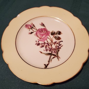 Antique D &C Limoges Porcelain Plate, Hand Decorated