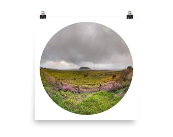 California Pacific Coast Highway Brown Cow Fisheye Photo Poster