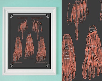 Gray's Anatomy Foot Muscles Coral Gray Feet Massage Room Podiatry Office Poster Chart Art Deco 8x10 11x14 16x20 18x24