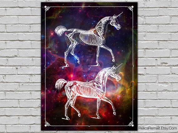Cosmic Unicorn Anatomy Print Vintage Science Fantasy Art Deco Mythical Poster 8x10 9x12 11x14 16x20 18x24