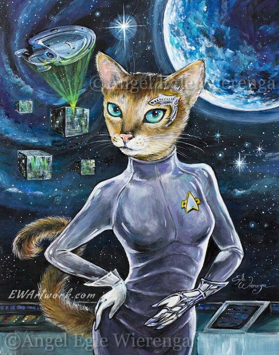 Cat seven cheap lives
