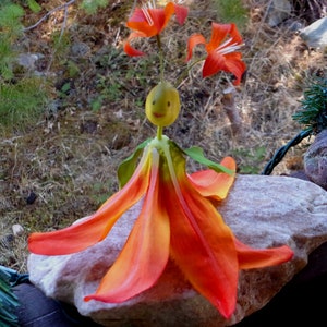 Flower Sprite Fairy &quot;Bernice&quot; - Hand Crafted Figurine - OOAK - Beautiful!!