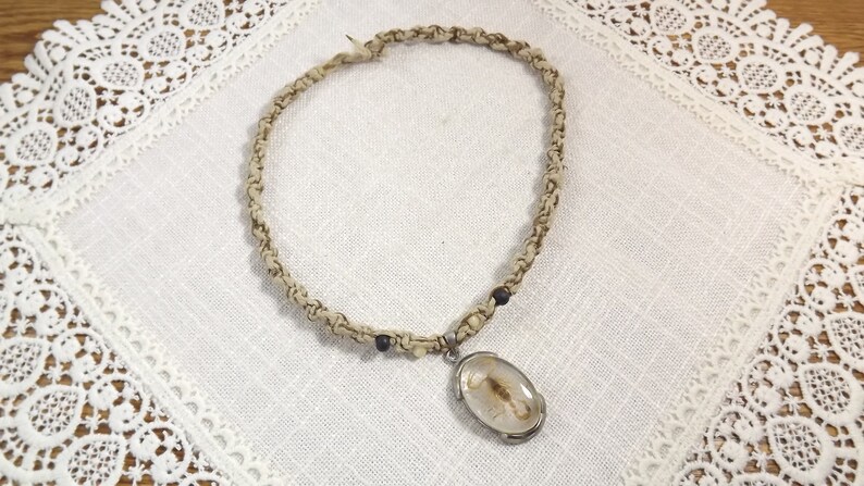 Vintage Arachnid Scorpiones of the Real Kind Scorpion Pendant Oddity Taxidermy Jewelry Bug Lover