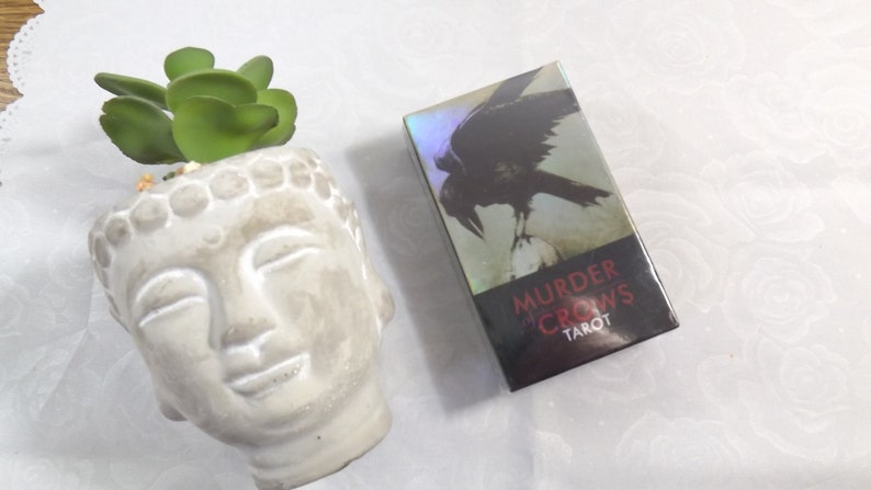 May include: A box of Murder of Crows Tarot cards with a black crow on the front. The box is iridescent and has a black background with red text.