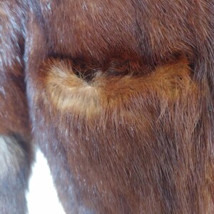May include: Close-up of a brown fur coat with a pocket. The fur is a rich, dark brown color with lighter brown highlights. The pocket is outlined with a lighter shade of brown fur.