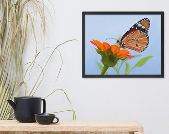 May include: A framed print of a butterfly with orange and black wings perched on an orange flower with green leaves against a light blue background.