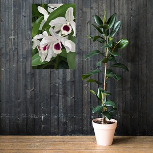 Painted Orchid Poster, Original Art, Art Print