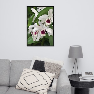 Painted Orchid Poster, Original Art, Art Print, Framed poster