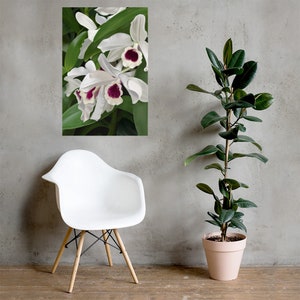 Painted Orchid Poster, Original Art, Art Print, Photo paper poster