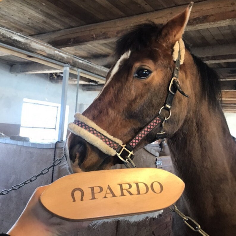 Custom Equestrian Grooming Brushes Horse Grooming Brushes Etsy