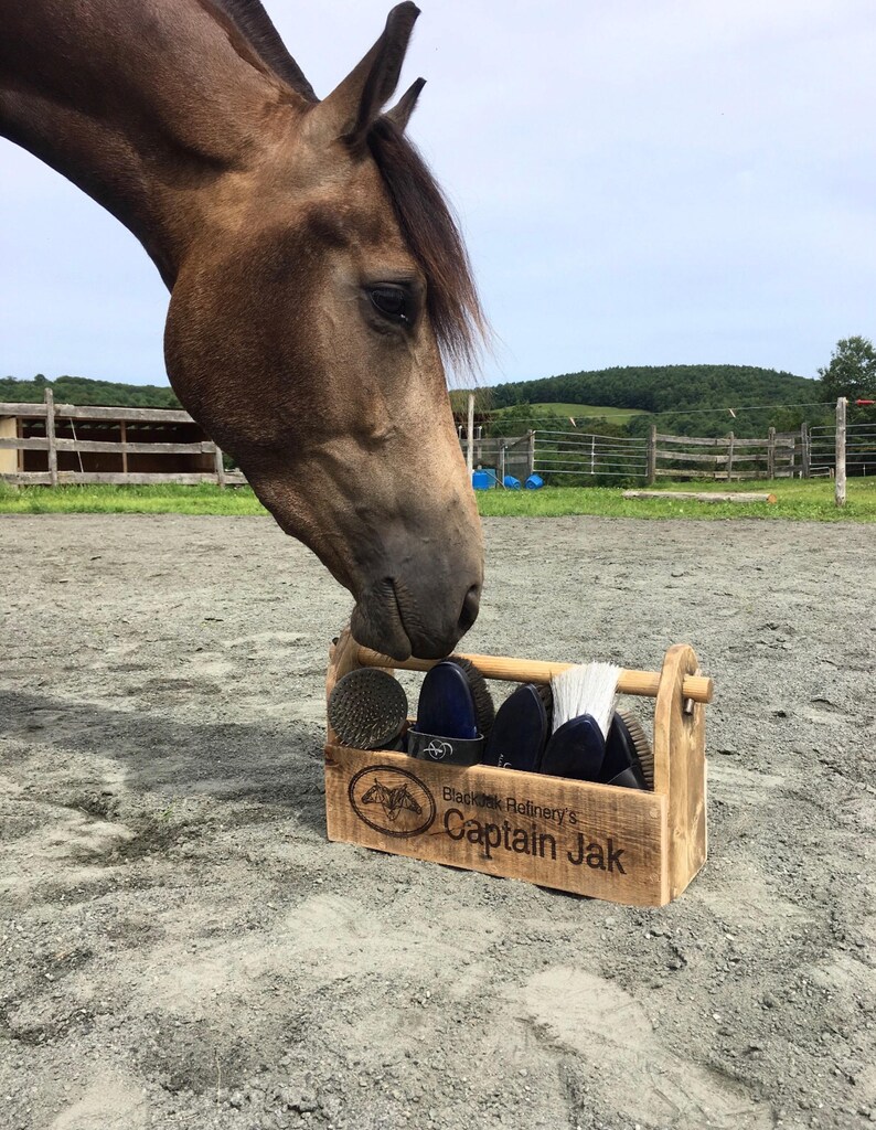 Personalized Equestrian Grooming Kit Horse Grooming Kit Etsy