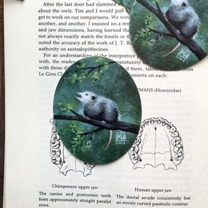 Opossum vinyl sticker, trash kitty, natural history sticker, animal sticker, opossum sticker