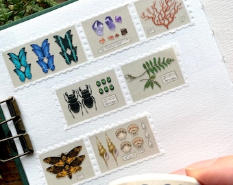 Specimen drawer stamp washi tape, natural history washi, natural history museum, botanical washi, dark academia, light academia, stamp washi