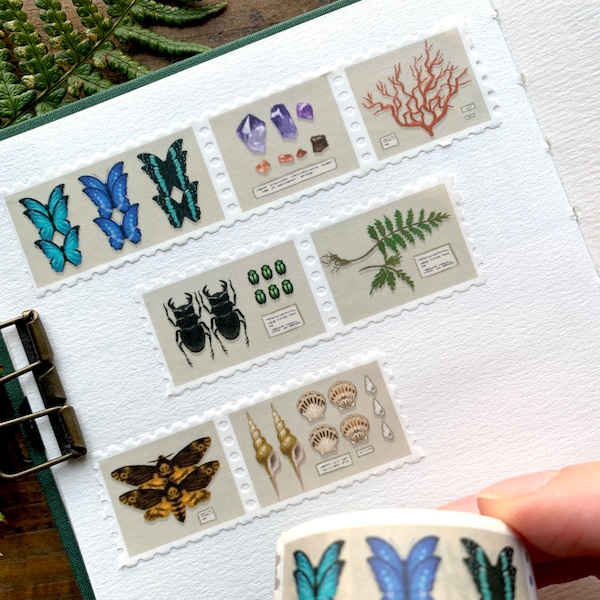 Specimen drawer stamp washi tape, natural history washi, natural history museum, botanical washi, dark academia, light academia, stamp washi