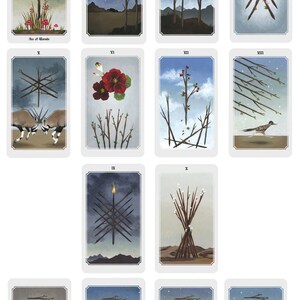 Anima Mundi tarot deck, 78 card deck with guide book, nature deck, occult divination card sold by original artist image 8