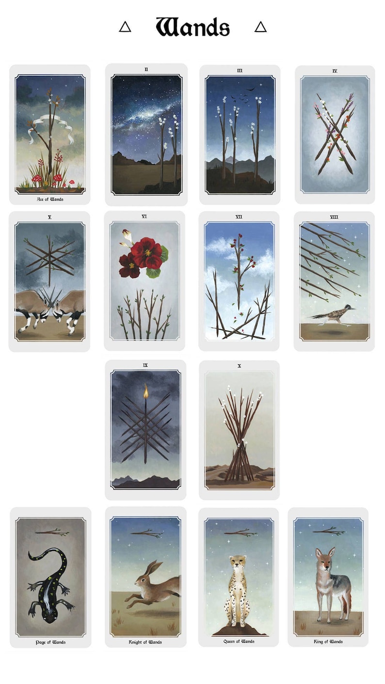 Anima Mundi tarot deck, 78 card deck with guide book, nature deck, occult divination card sold by original artist image 8