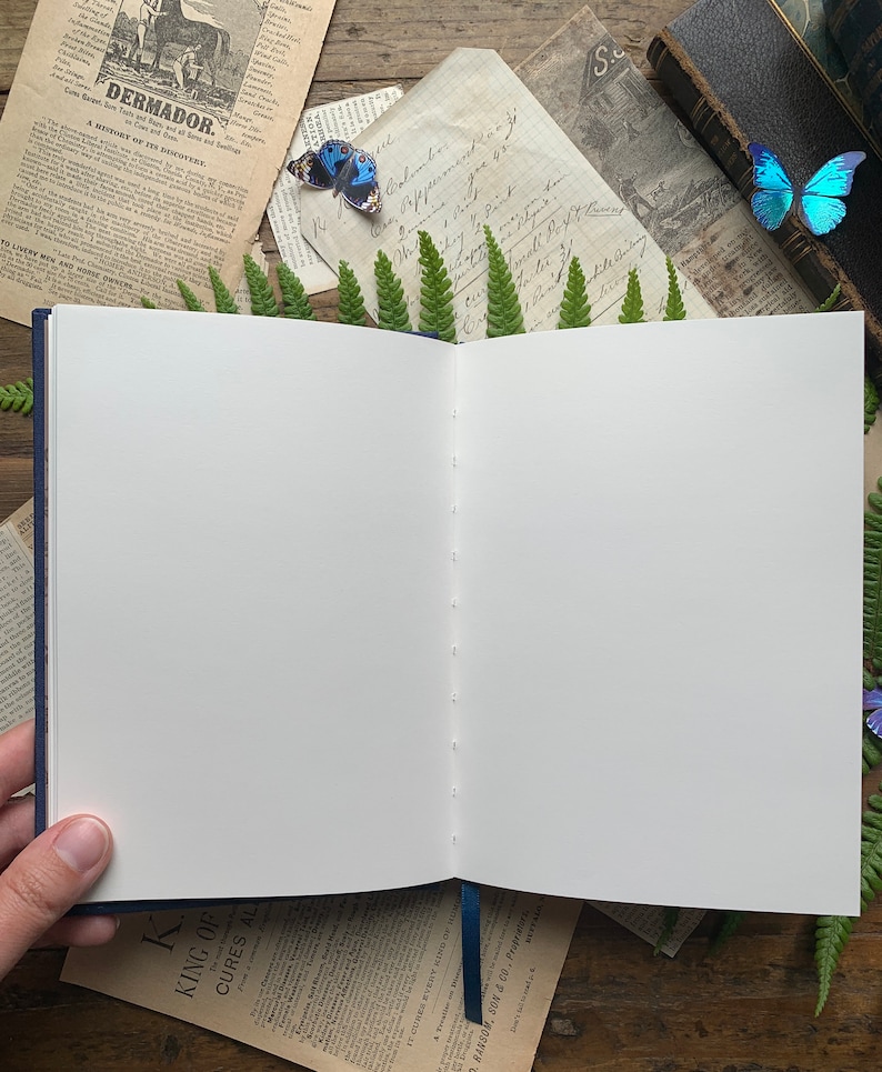 The Astronomer B6 vegan blank foil notebook, 120gsm ivory paper, dream journal, celestial notebook, astrology notebook, dark academia image 4
