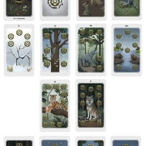 Anima Mundi tarot deck, 78 card deck with guide book, nature deck, occult divination card sold by original artist image 10