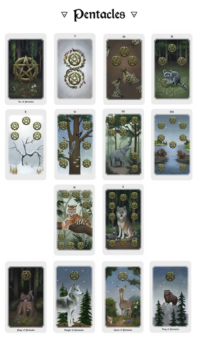Anima Mundi tarot deck, 78 card deck with guide book, nature deck, occult divination card sold by original artist image 10