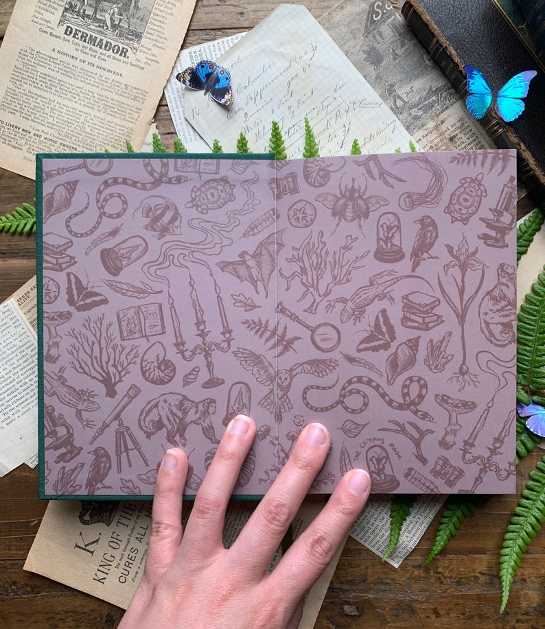 Op de afbeelding: Een open boek met een groene kaft en een roze binnenkant. De binnenpagina's zijn bedekt met een herhalend patroon van illustraties, waaronder een slang, een vogel, een telescoop, een paddenstoel, een vlinder en een vergrootglas. De titel van het boek is "King of the Cures All"