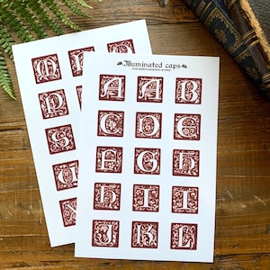 May include: Two white sheets of stickers featuring dark red square labels with white illuminated capital letters from A to L and beyond. Each letter is surrounded by intricate floral and vine patterns. The text "Illuminated caps" and "THECREEPINGMOON.STORE" is printed at the top of the primary sheet.